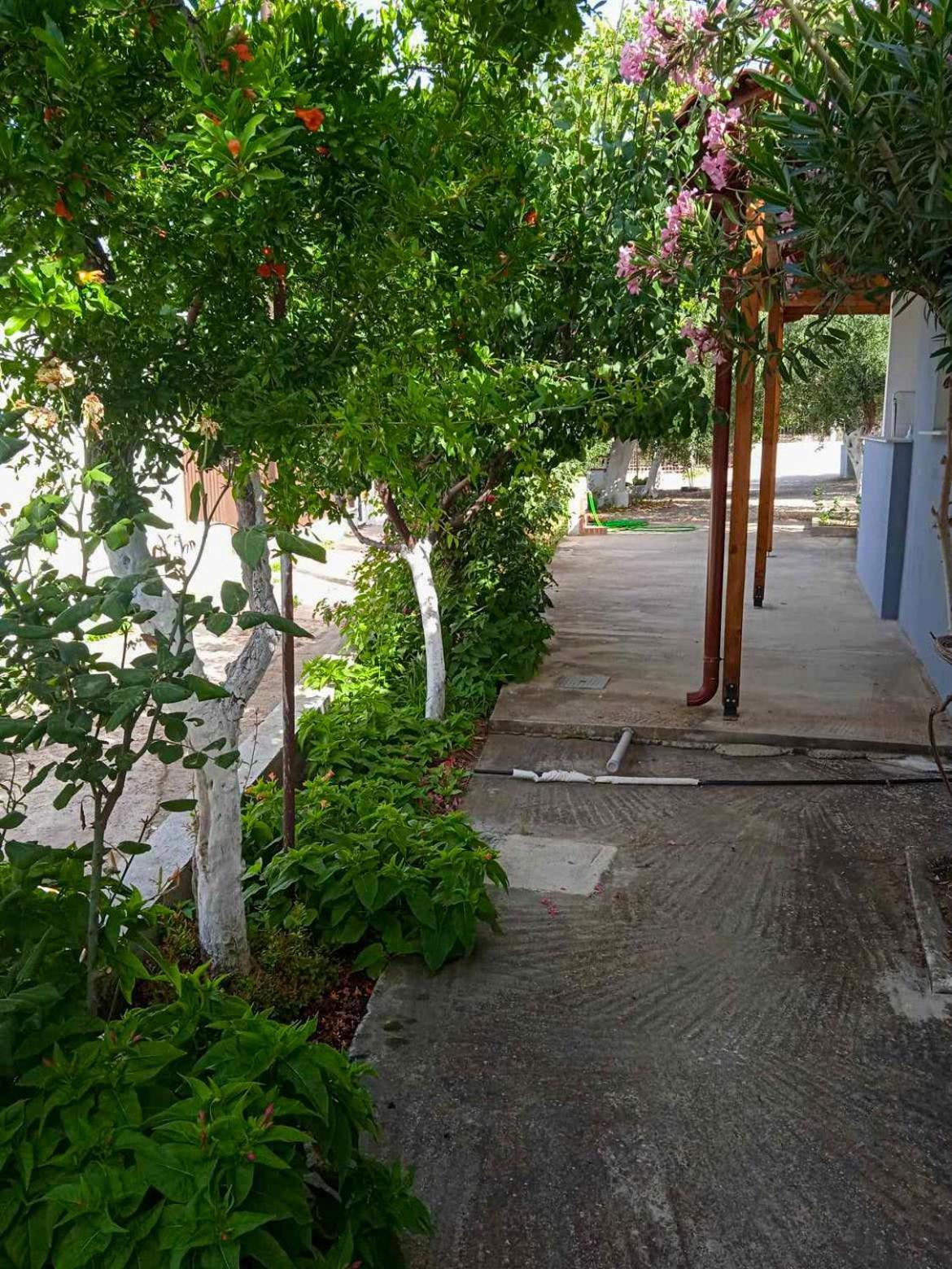 Κυανή Ακτή - Agia Paraskevi Makri Exterior photo